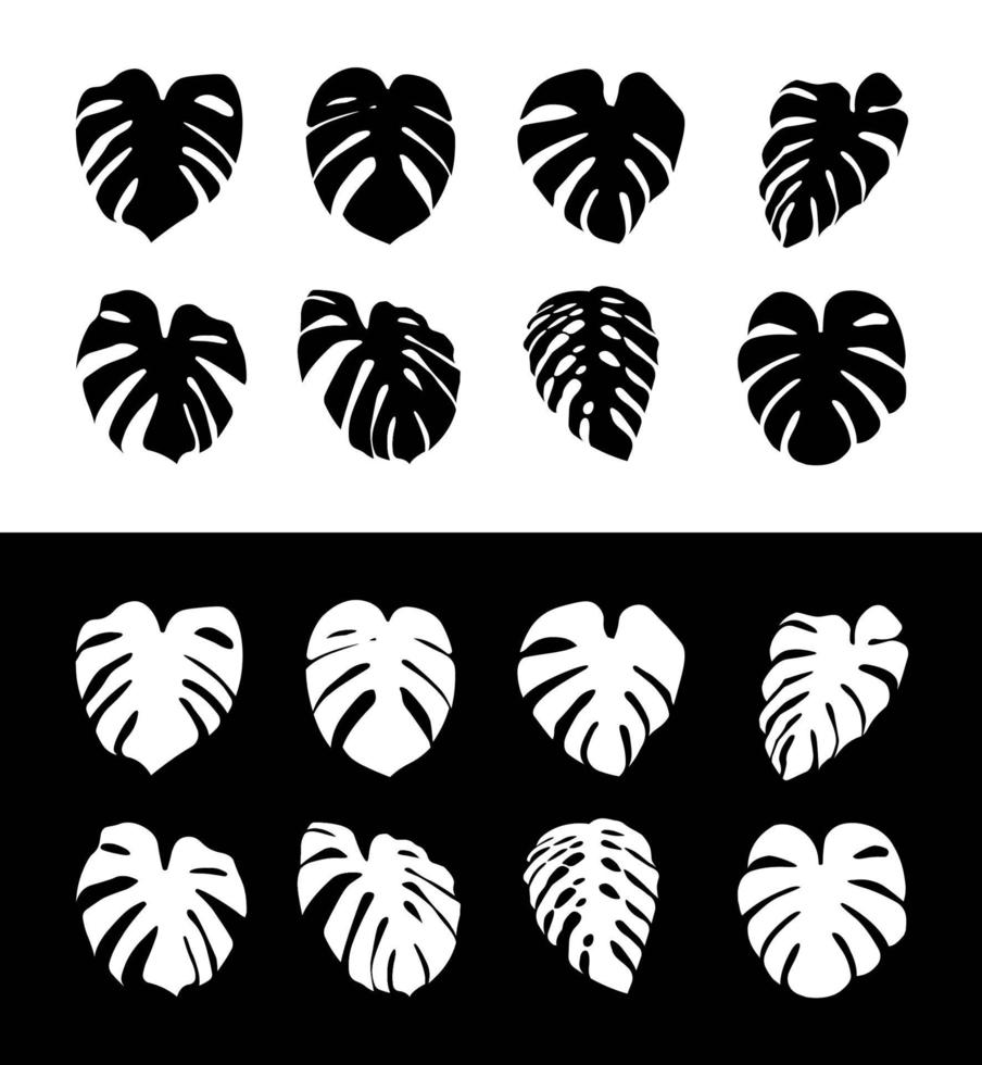 Monstera Deliciosa plant leaf silhouette isolated on background vector