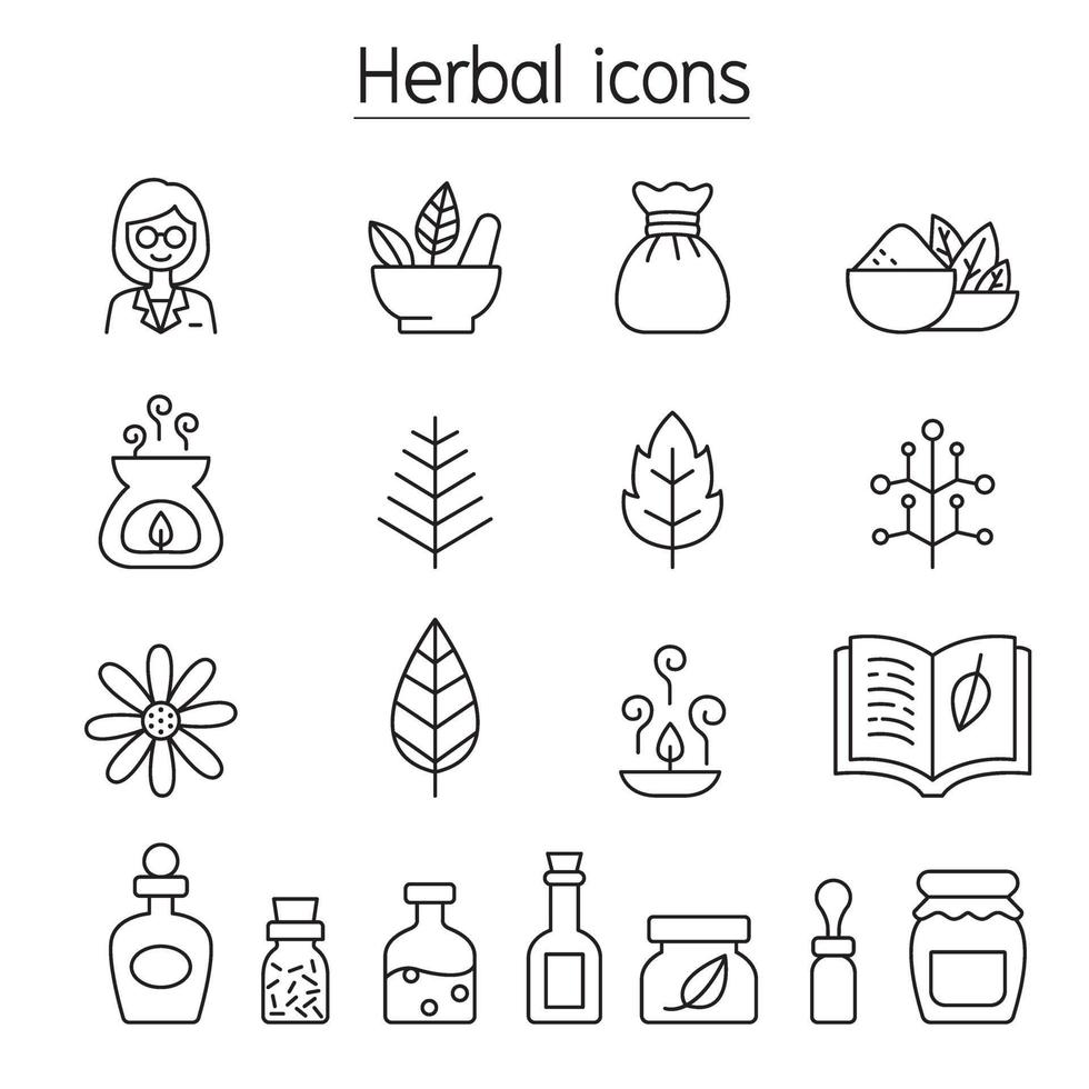 iconos de hierbas en estilo de línea fina vector