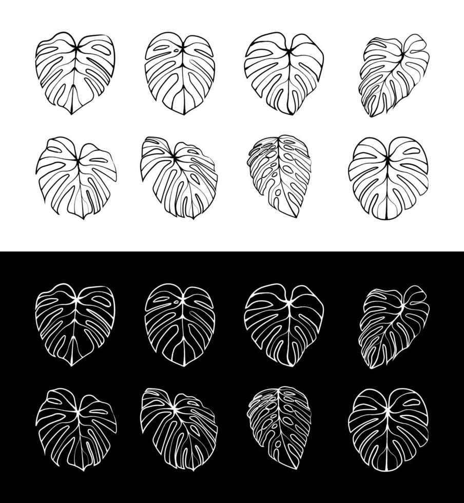 Monstera Deliciosa plant leaf line art style isolated on background vector