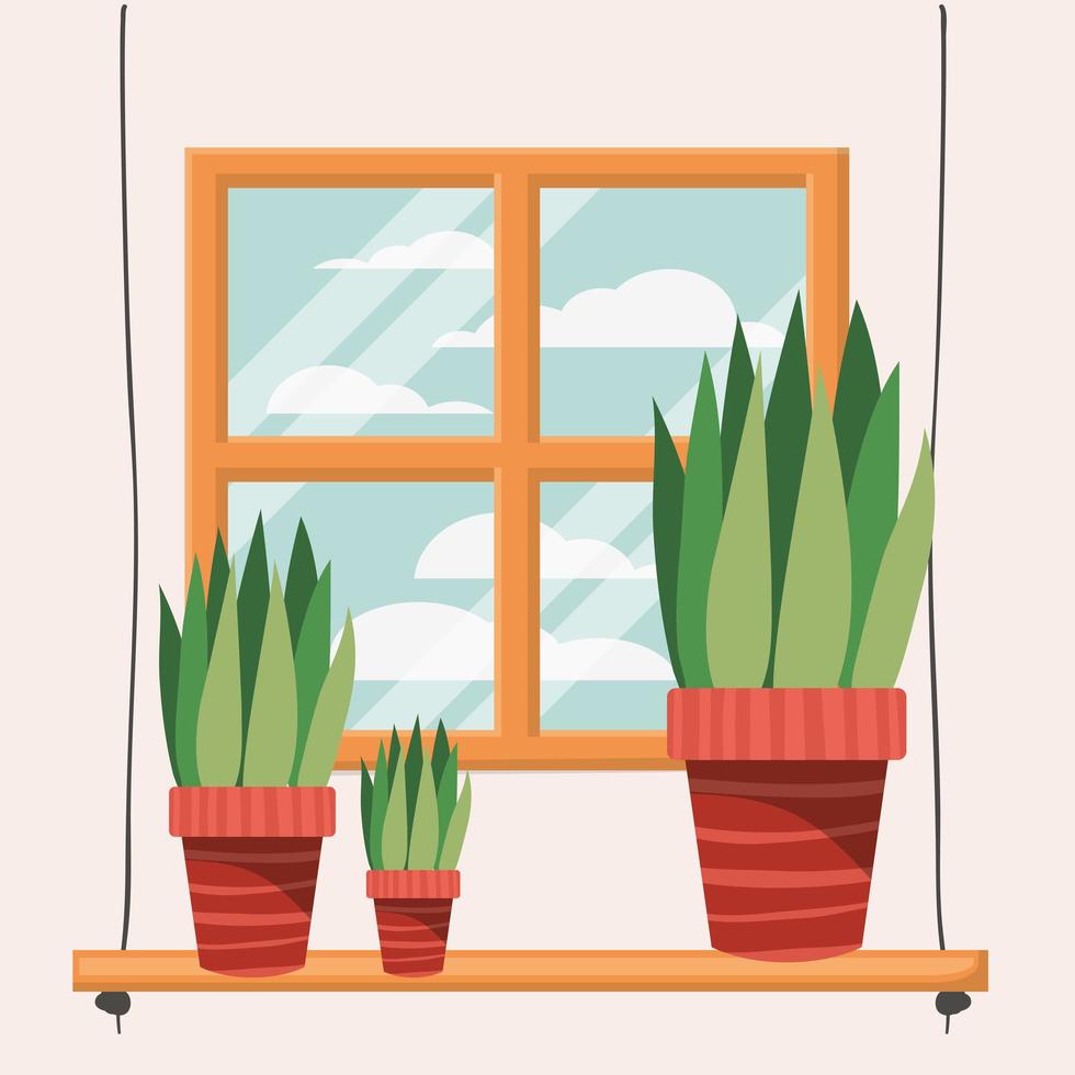 houseplants on a shelf by the window vector