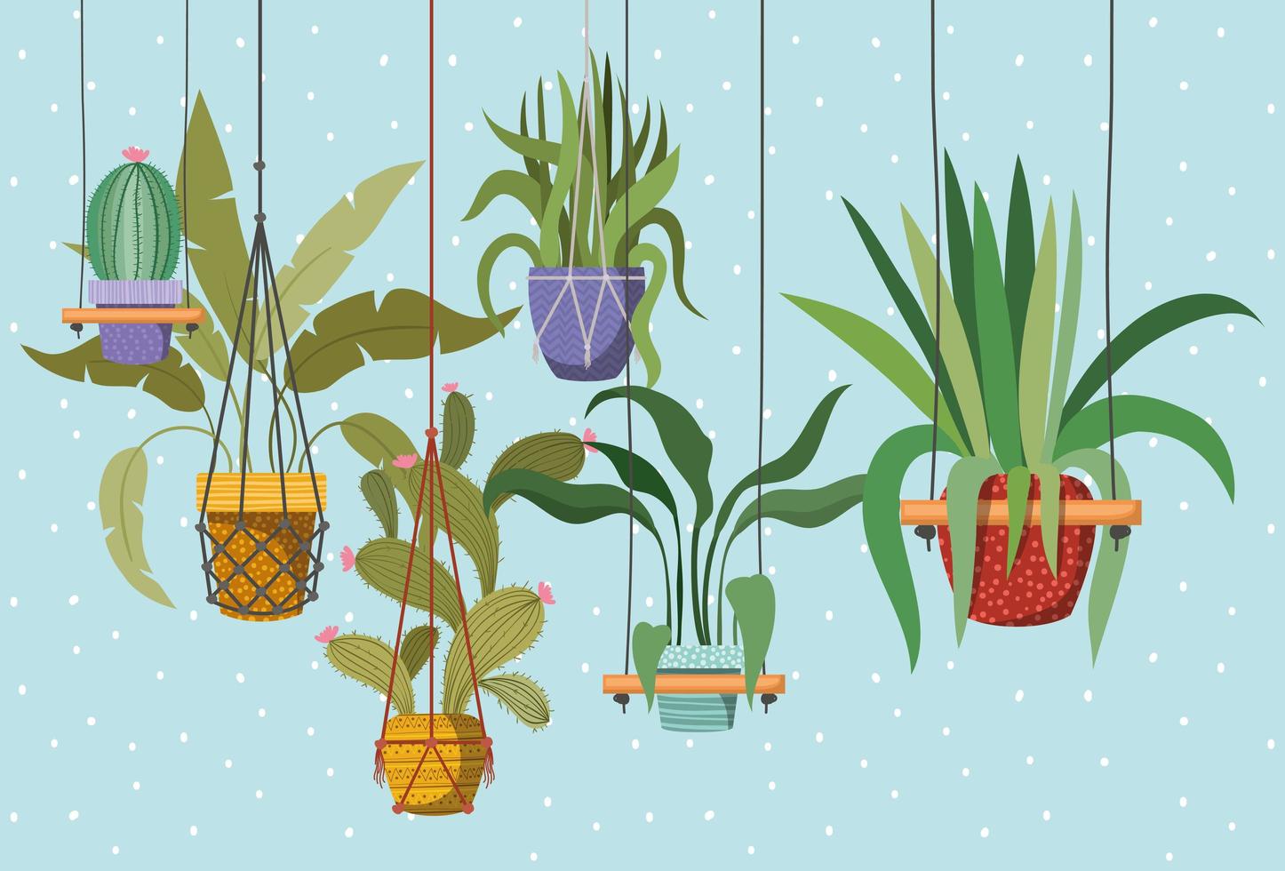 houseplants in macrame hangers vector