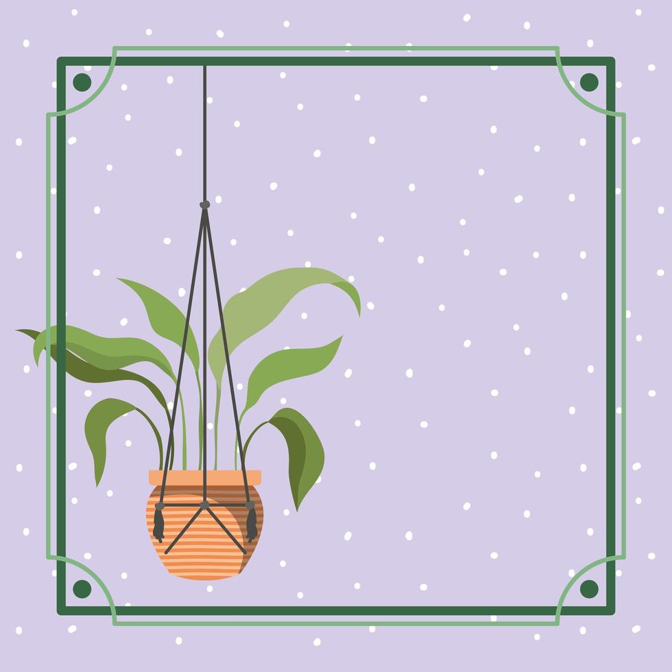 frame with houseplant in a macrame hanger vector