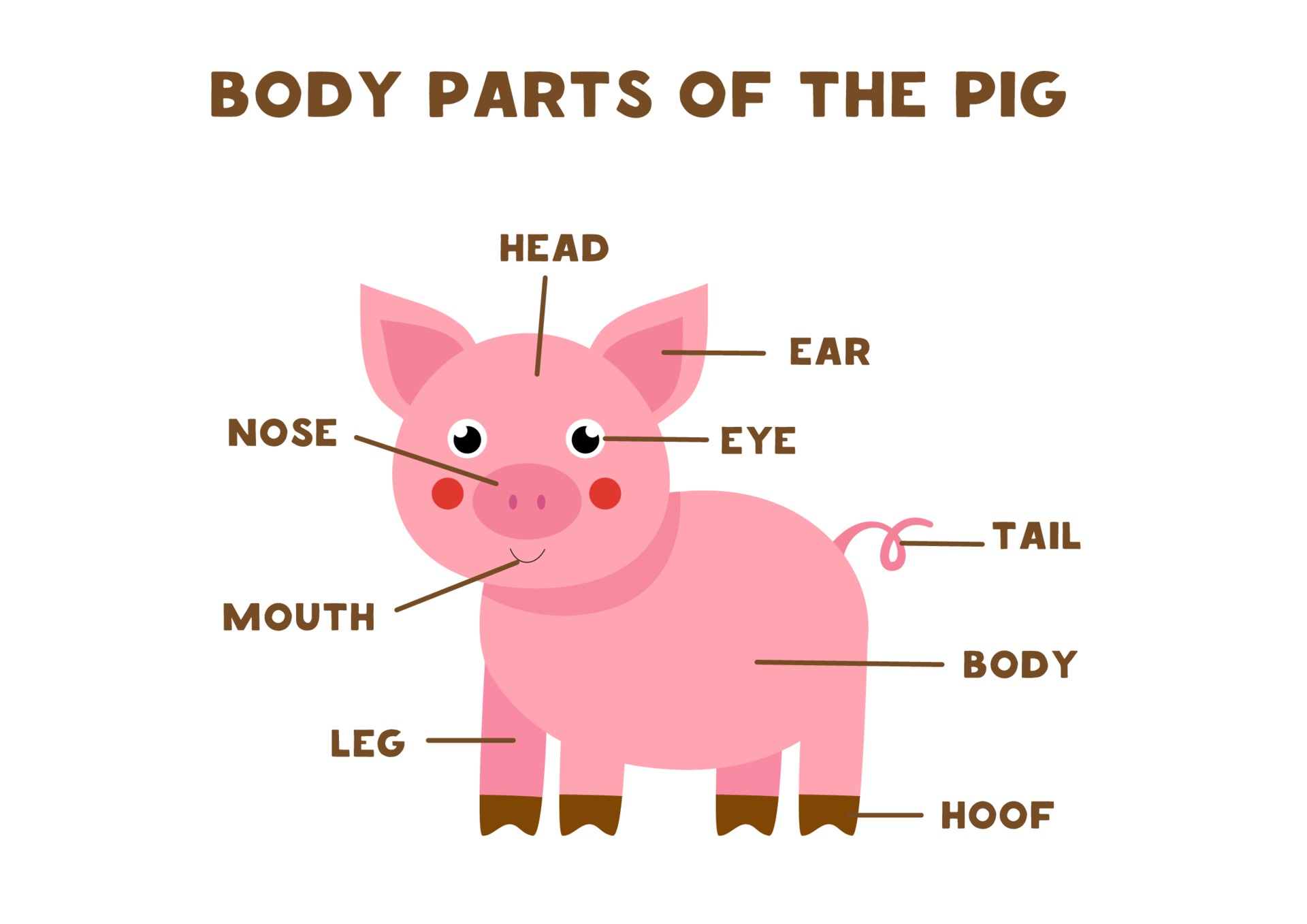 Русский язык свиней. Части тела свиньи для детей. Поросенок части тела для детей. Части тела свиньи для детей в картинках.