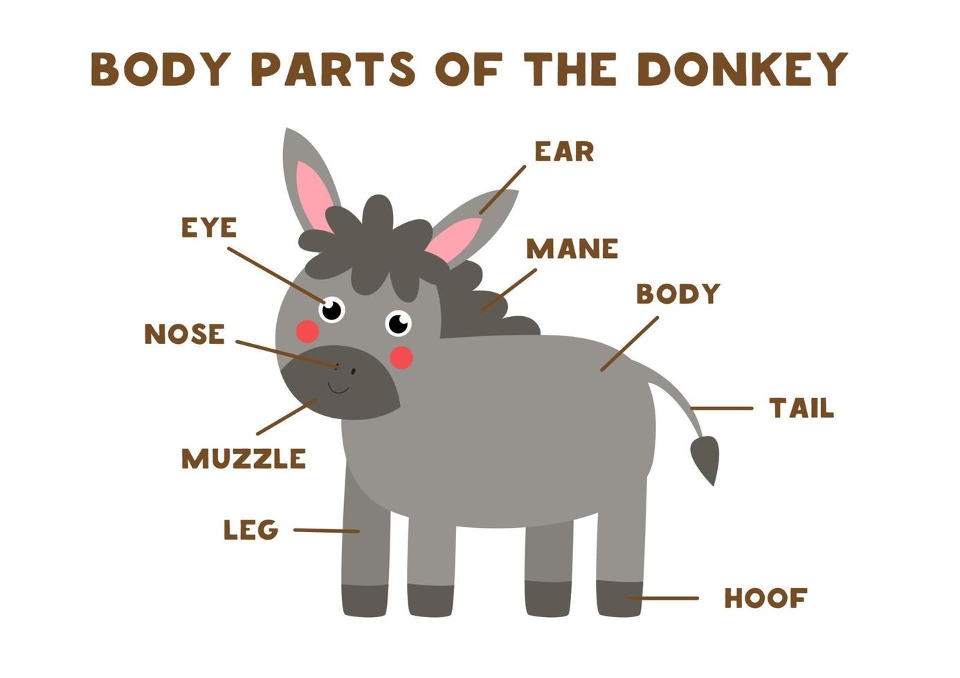 Body parts of the donkey. Scheme for children. vector