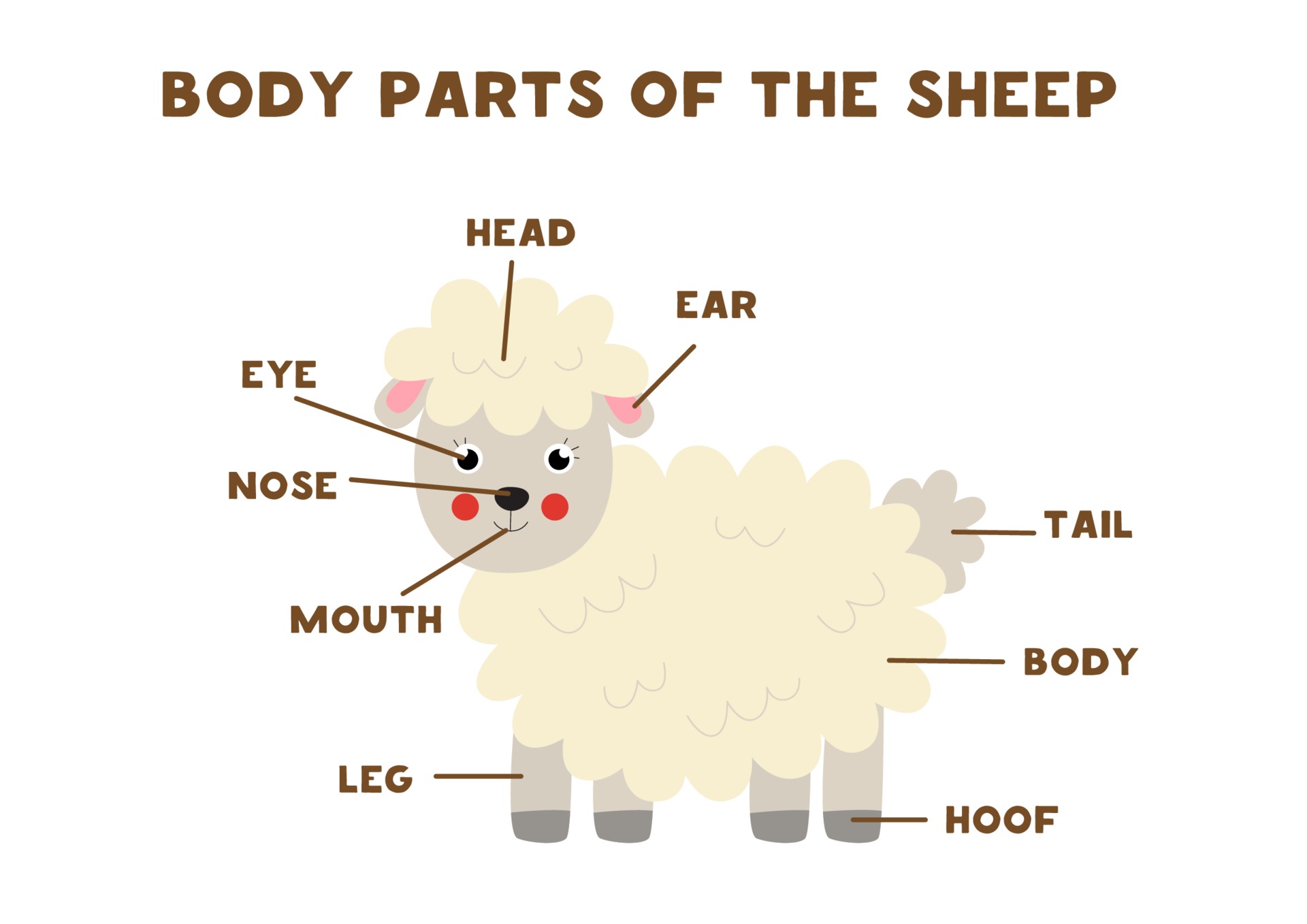 Body parts of the sheep. Scheme for children. 2069320 Vector Art at
