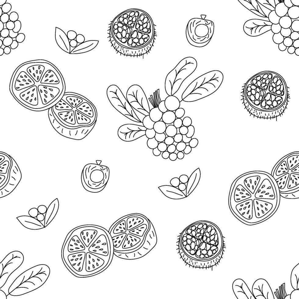 frutas tropicales línea de patrones sin fisuras. fondo botánico blanco y negro. ilustración vectorial verano monoline. vector