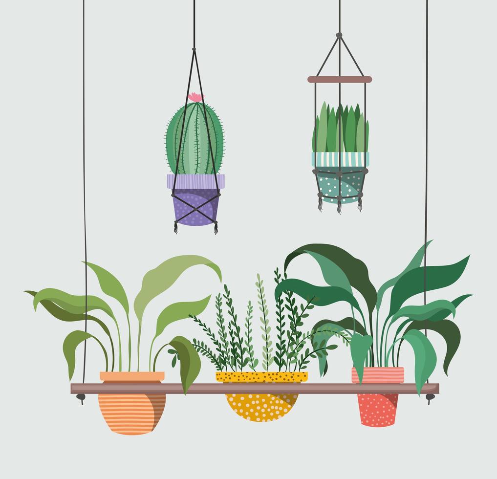 houseplants in macrame hangers vector