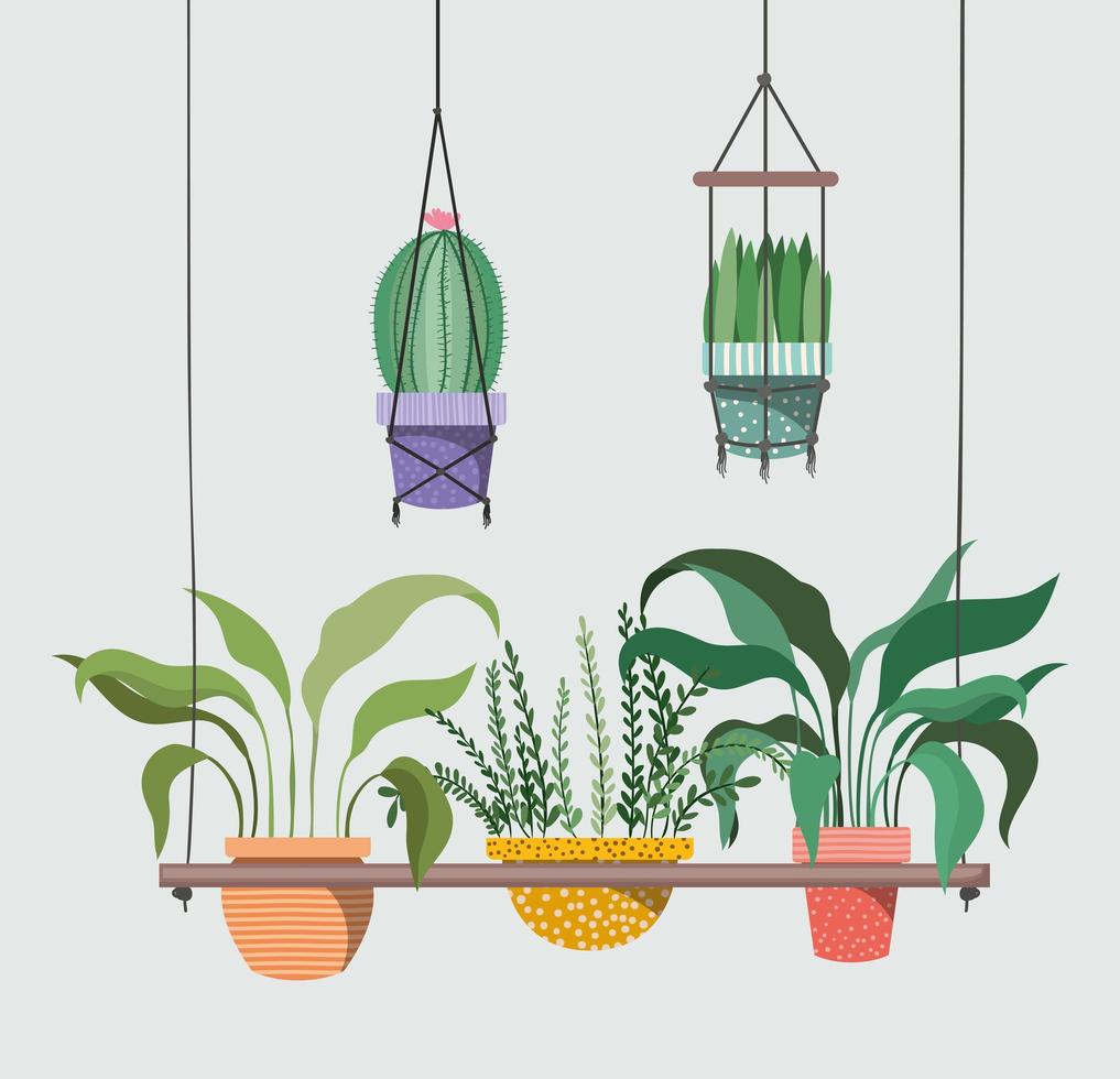 plantas de interior en perchas de macramé vector