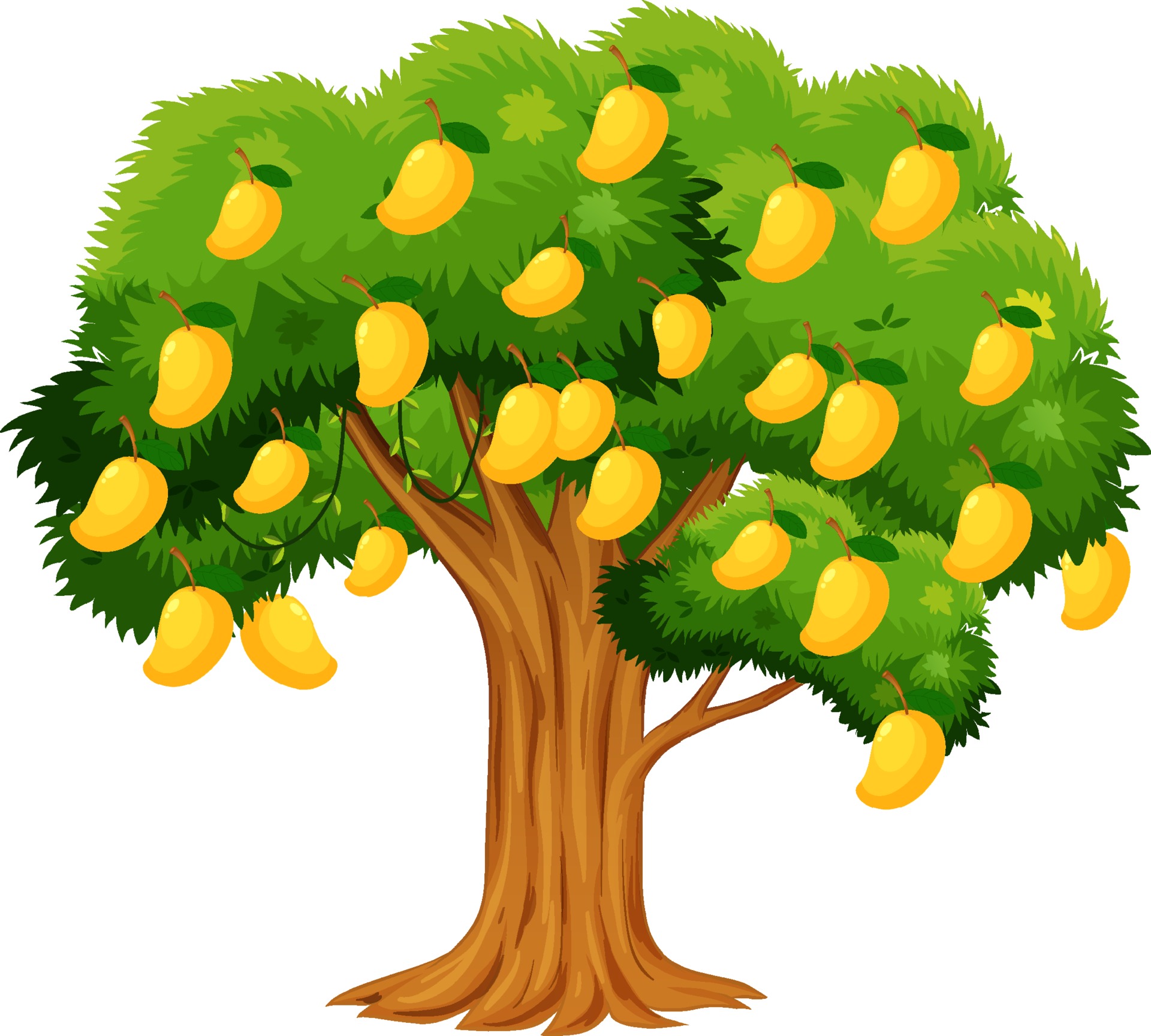 Free Clipart Of Mangoes