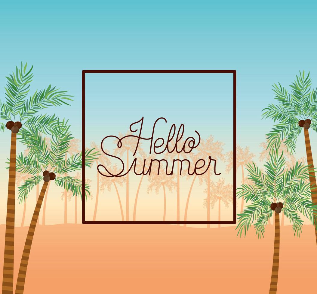 hola verano y diseño de marco de vacaciones vector