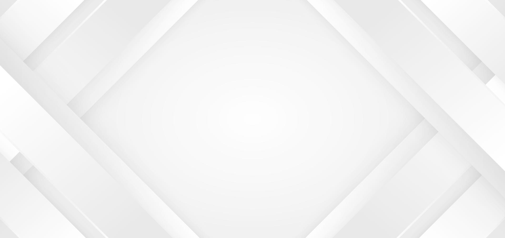 Abstract background white and gray diagonal stripes lines. 3D cover of business presentation banner web vector