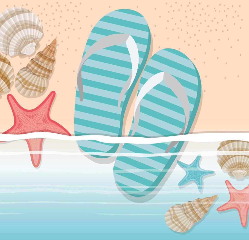 summer flip flops in the beach design vector