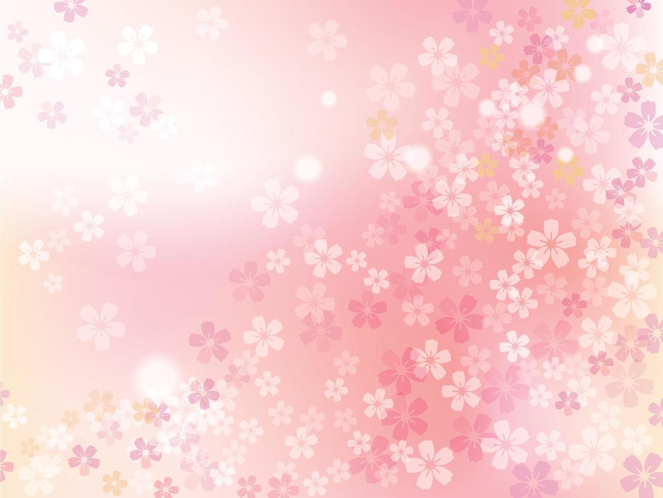 Cherry Blossoms In Full Bloom. Vector Floral Background Illustration.