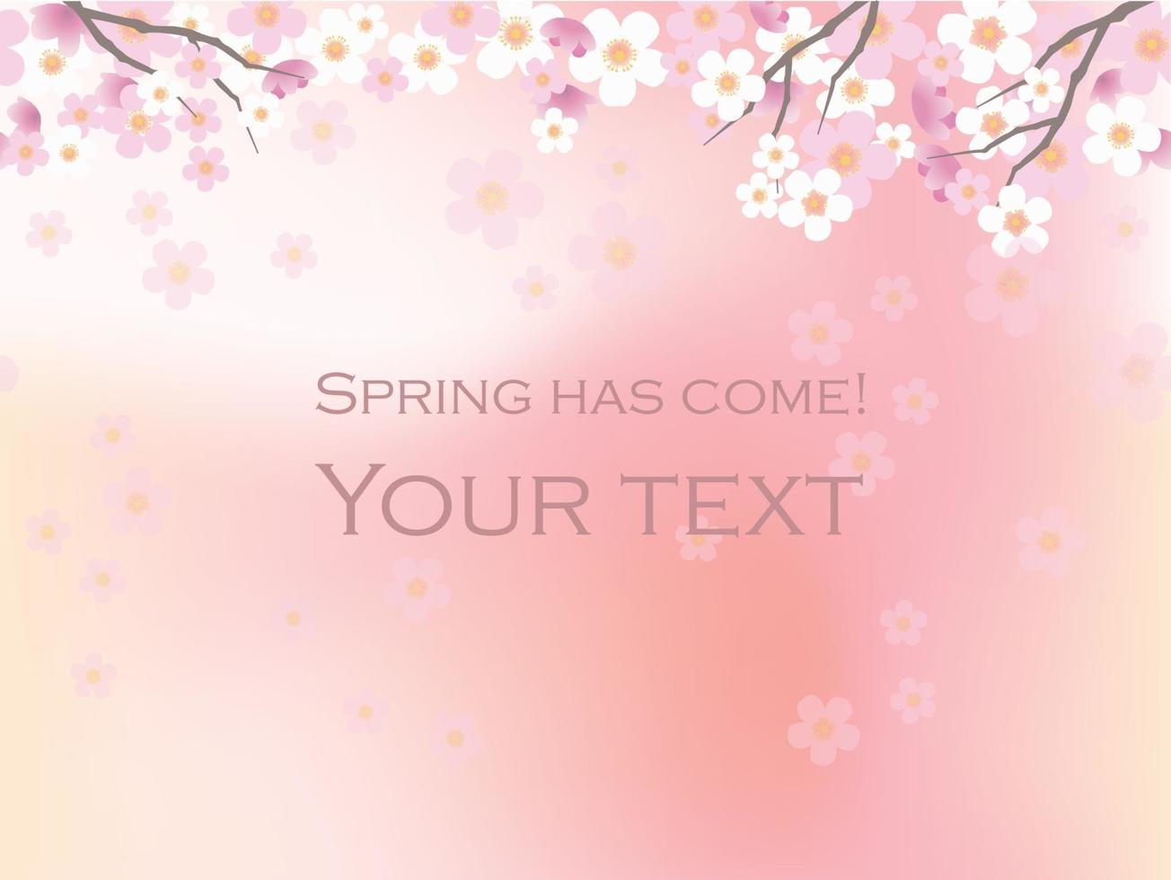 Cherry Blossom Background With Text Space Isolated On A Pink Abstract Background, Vector Illustration.