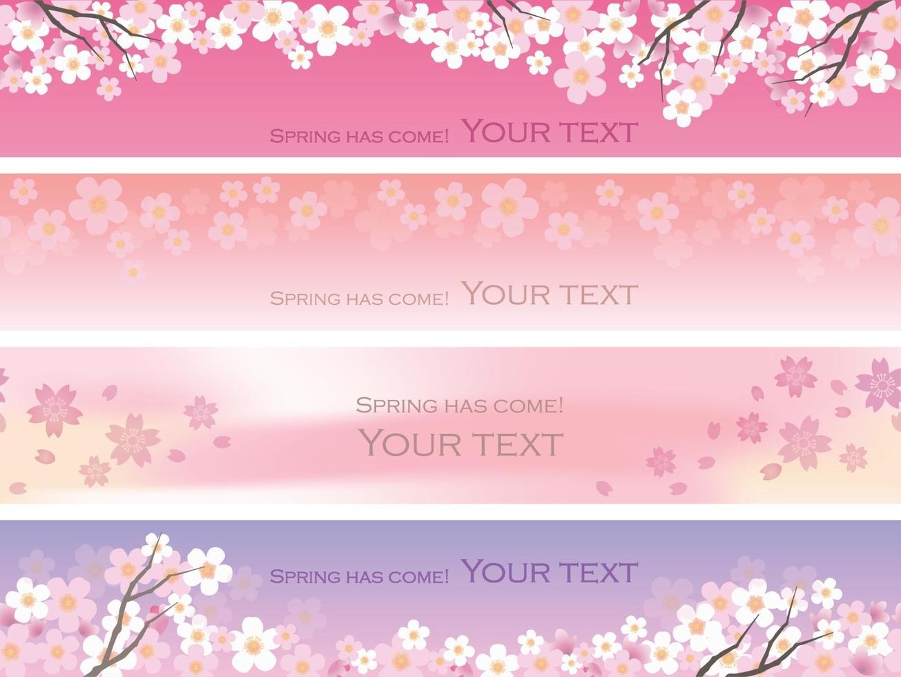 Cherry Blossoms Vector Background Set With Text Space.