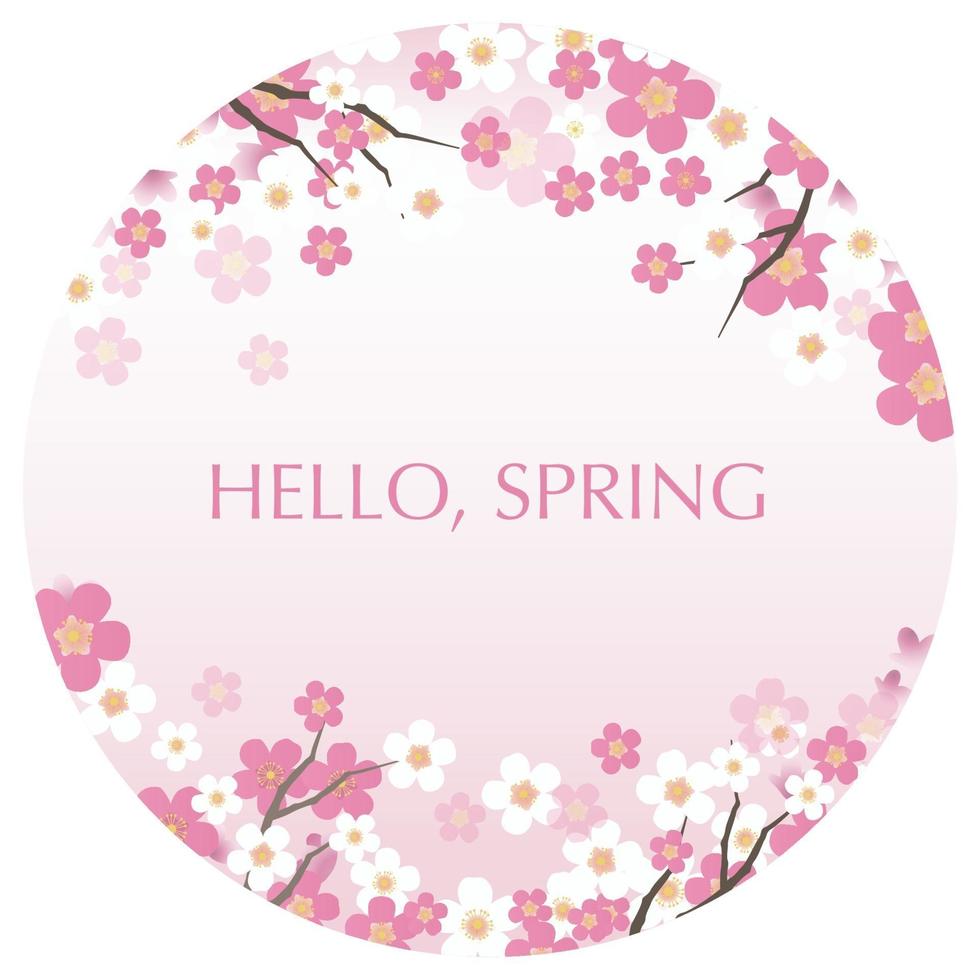 Round Vector Background Illustration With Text Space And Cherry Blossoms In Full Bloom Isolated On A White Background.