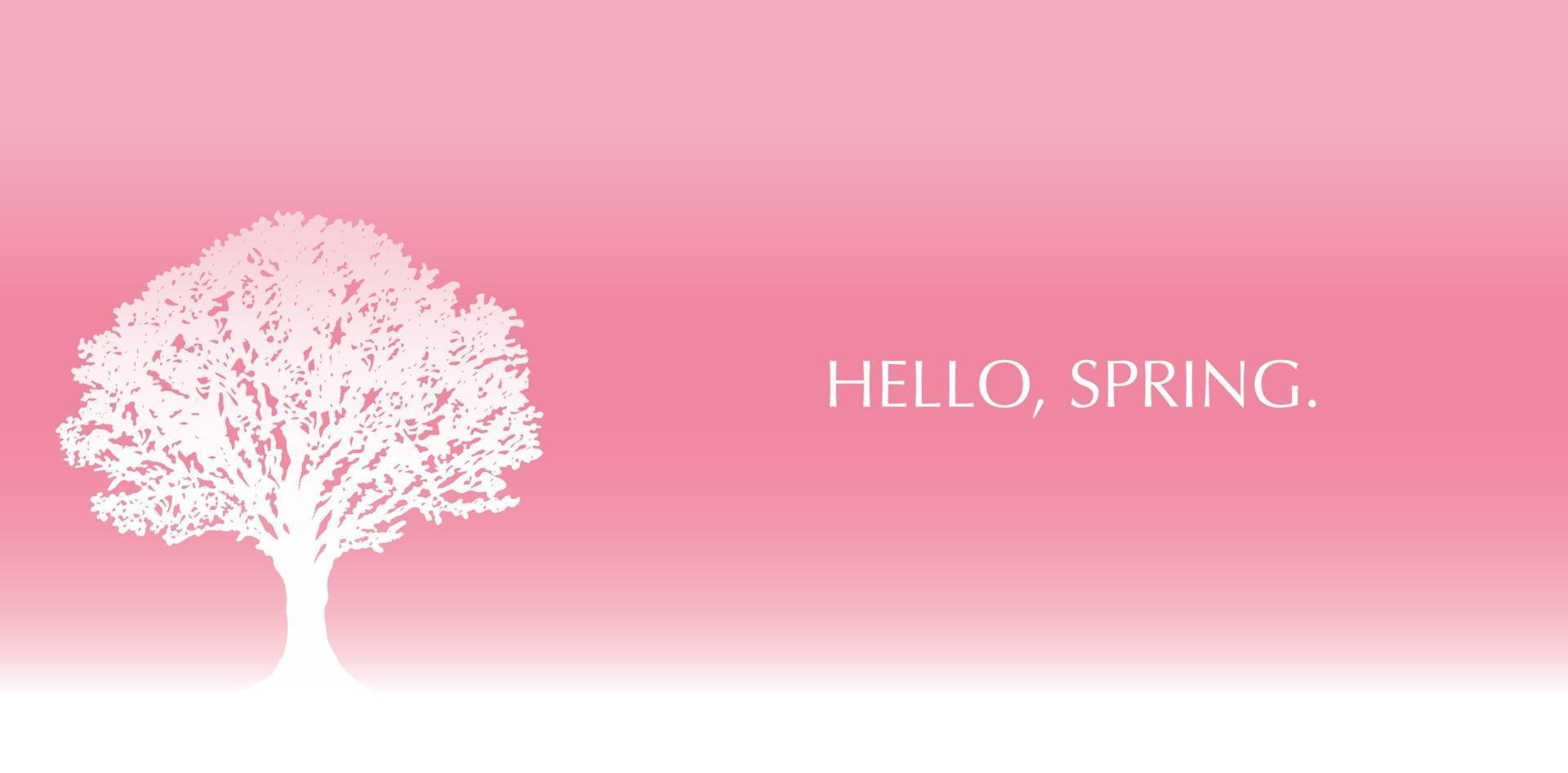 Vector Background Illustration With Cherry Blossoms In Full Bloom And Text Space On A Pink Background.