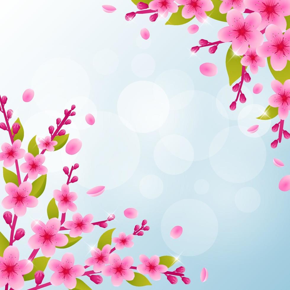 Cherry Blossom Background vector