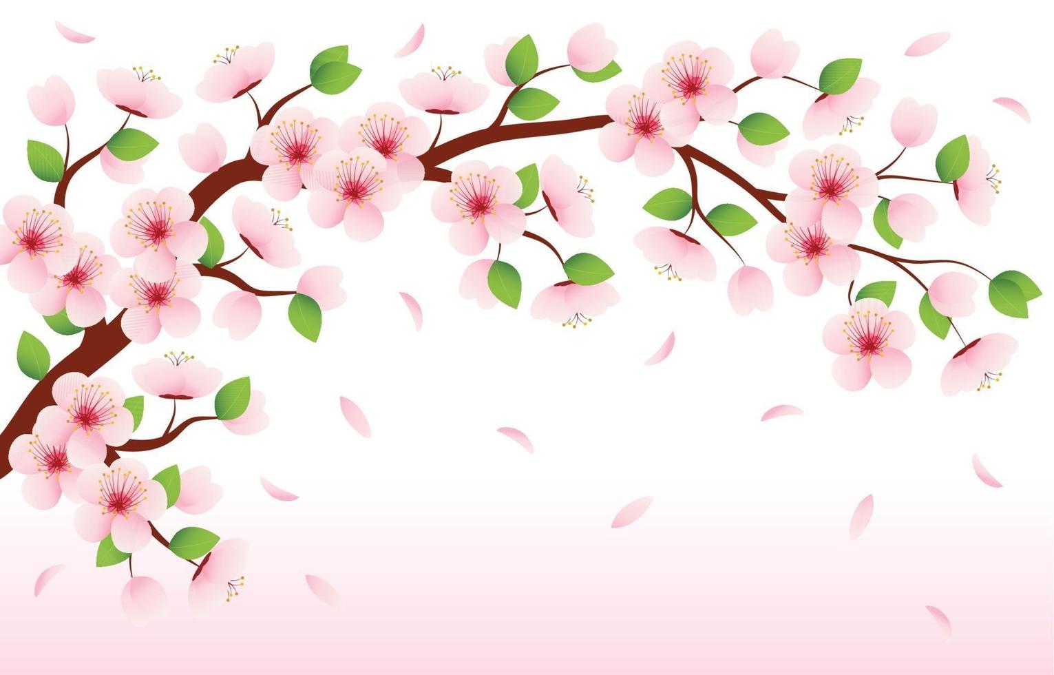 belleza de la flor de sakura vector