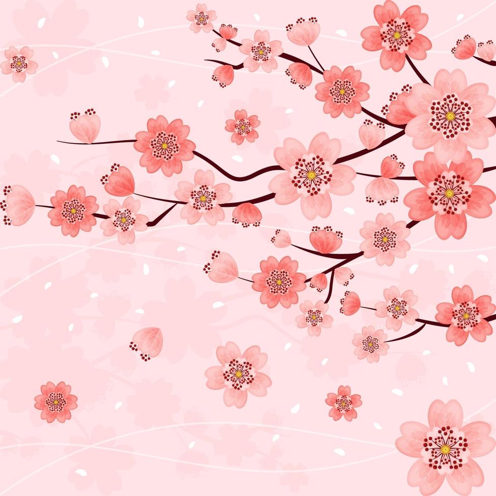 Beautiful Gradient Pink Cherry Blossom Flowers vector