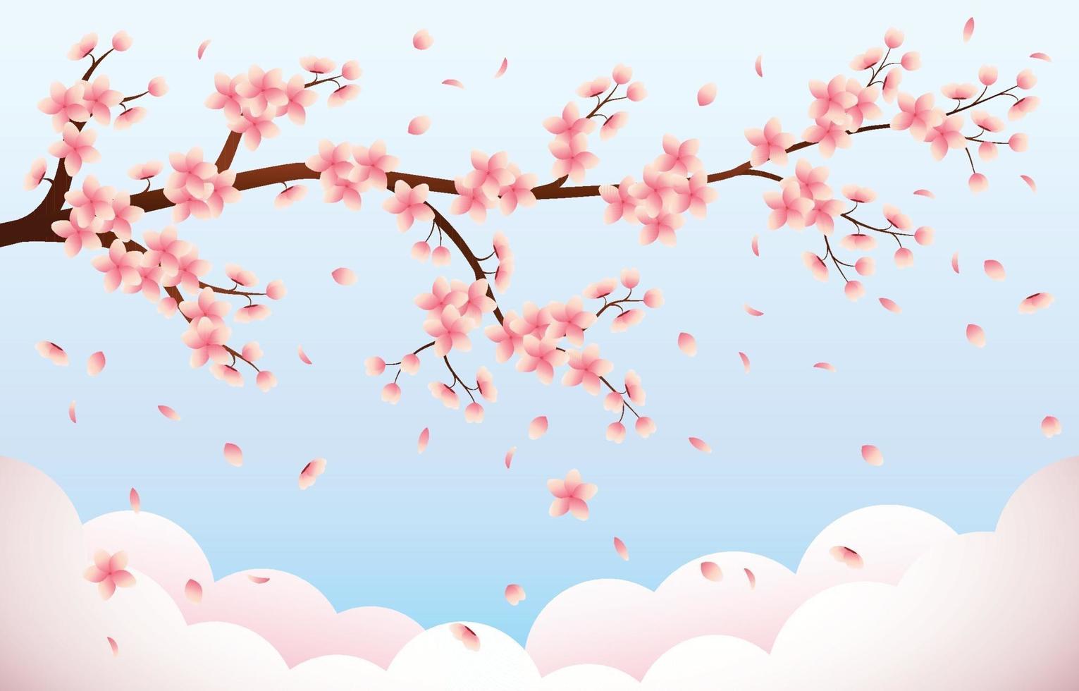 Beauty of The Blooming Sakura vector