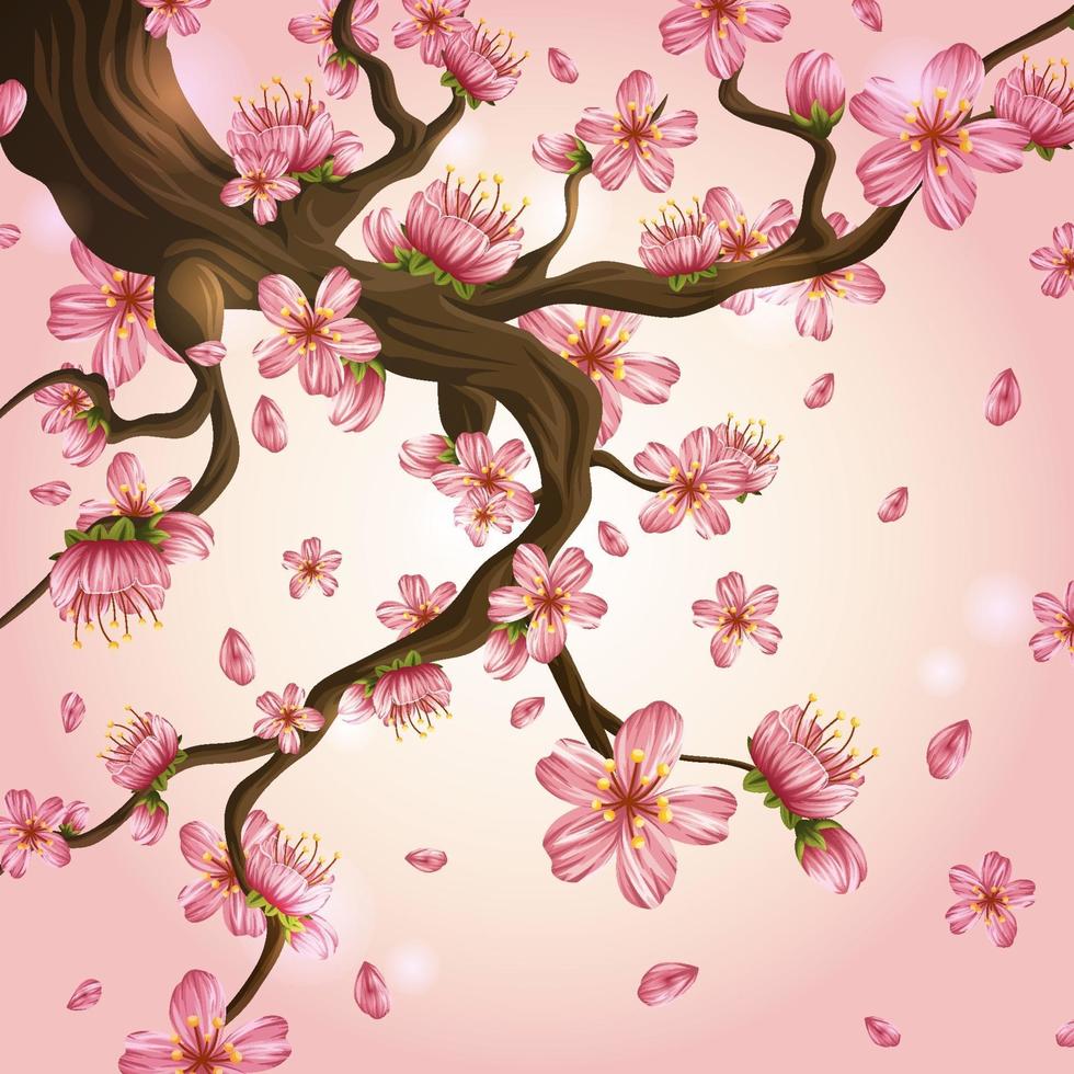 hermosa flor de cerezo en fondo rosa vector