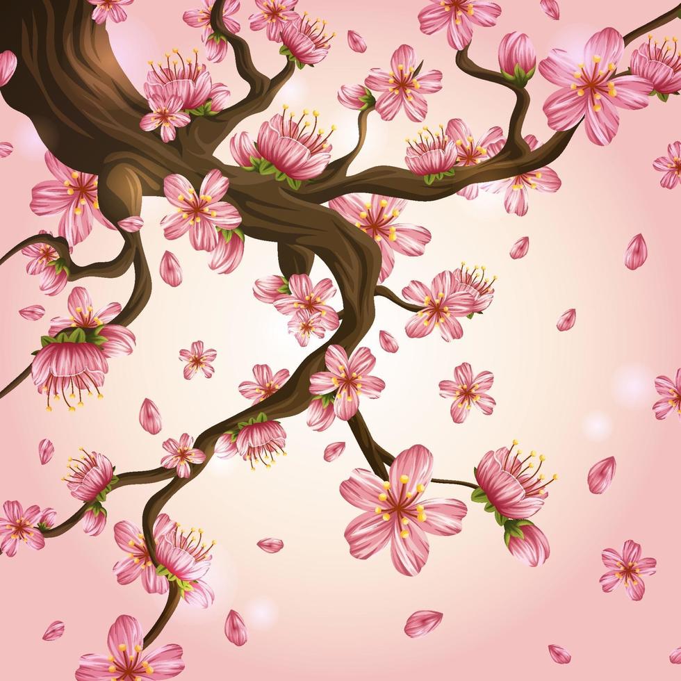 Beautiful Cherry Blossom in Pink Background vector