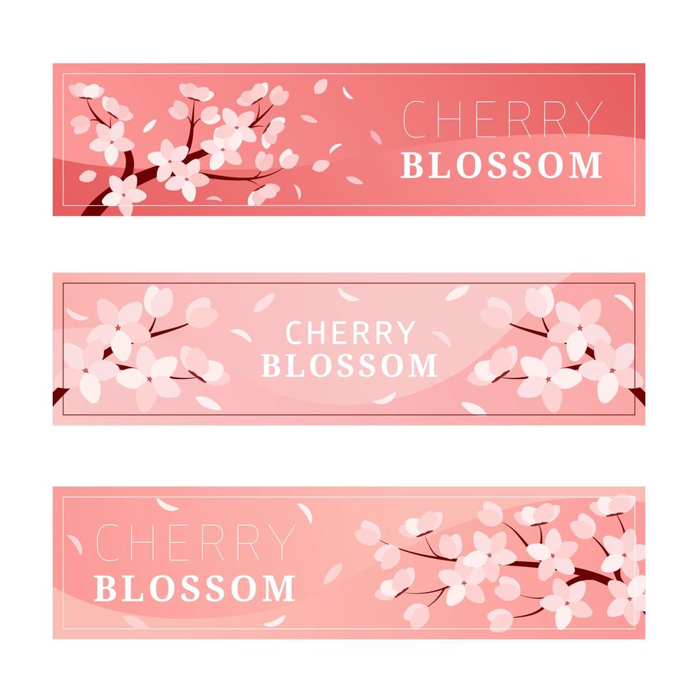 Cherry Blossom Banner vector