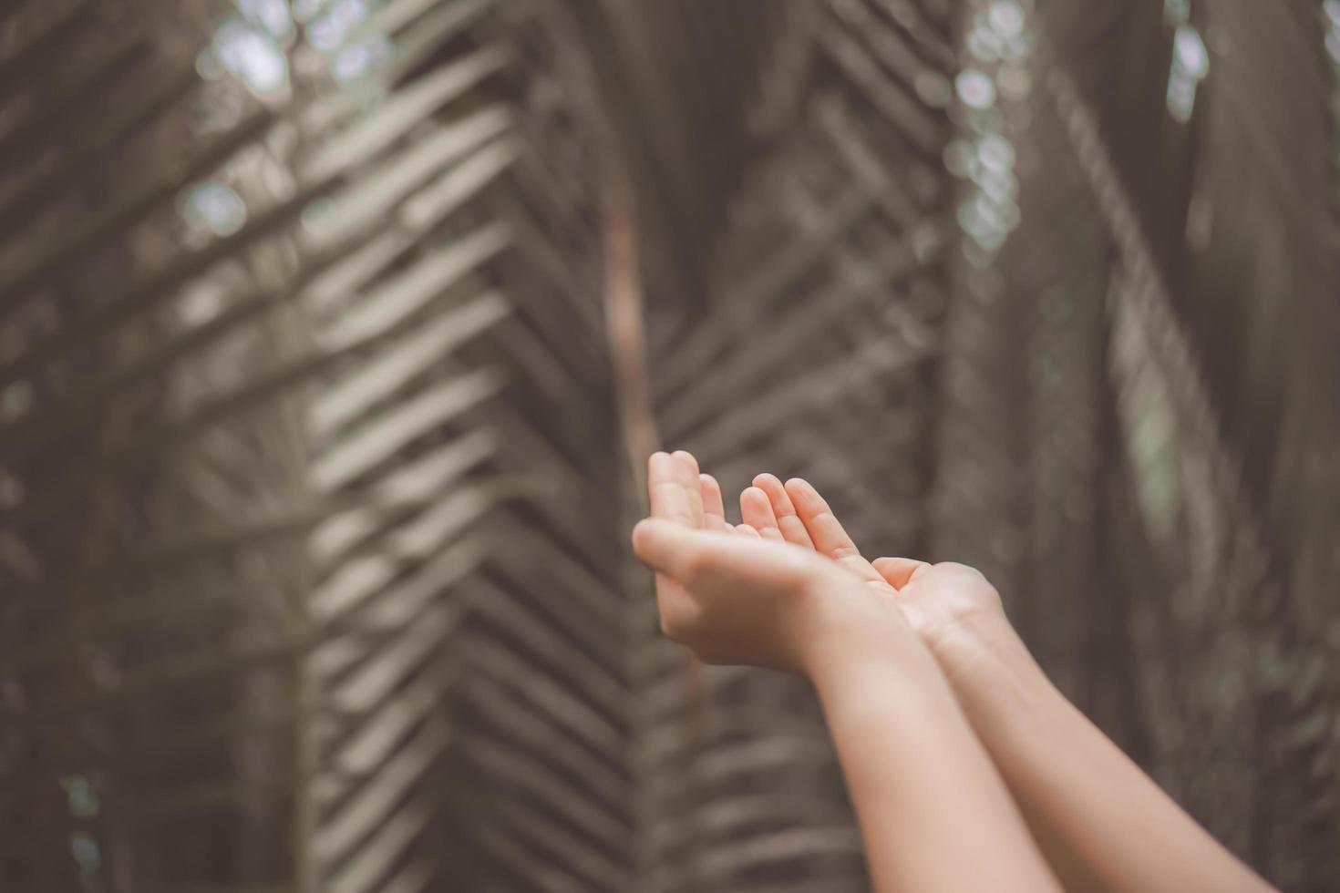 Hands placed together like praying in front of nature green background photo