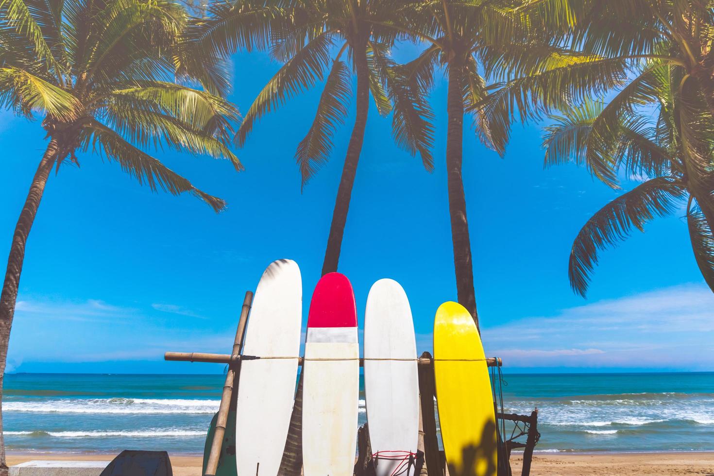 Many surfboards beside coconut trees at summer beach with sun light and blue sky photo