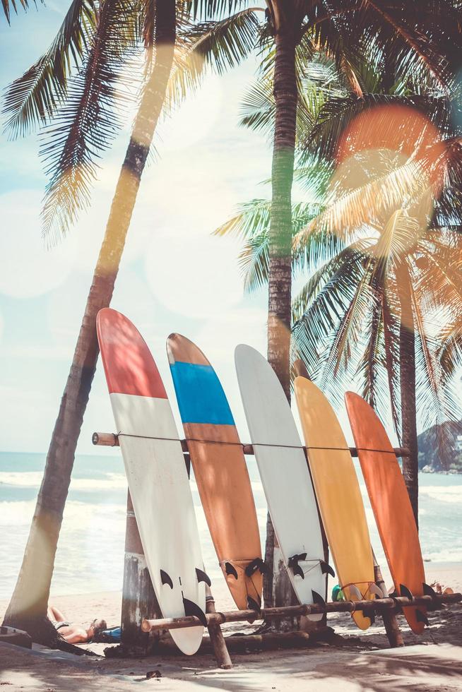 Many surfboards beside coconut trees at summer beach with sun light and blue sky photo