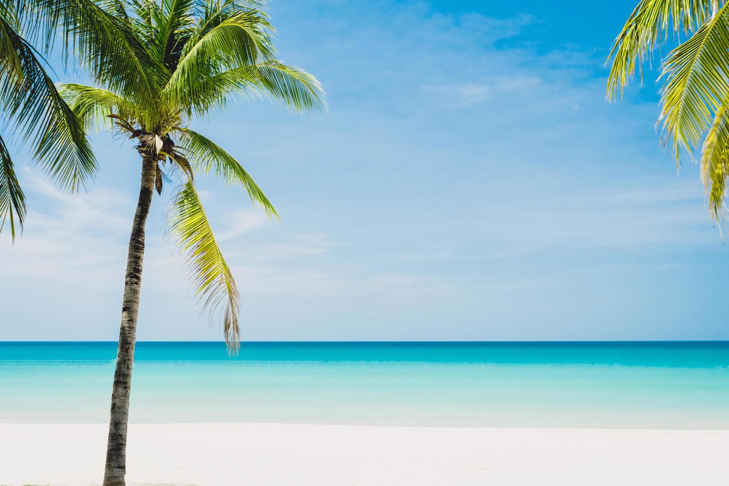 Tropical beach and blue sky background photo