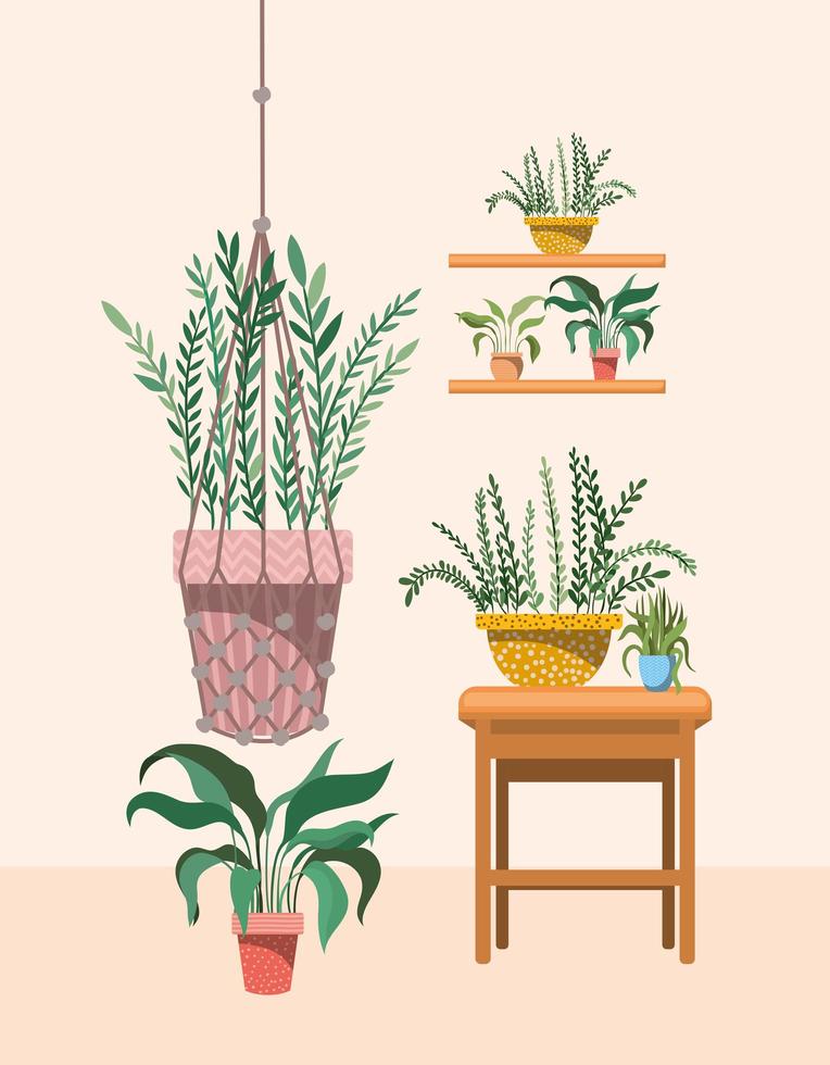 Plantas de interior en colgador de macramé y estantes. vector