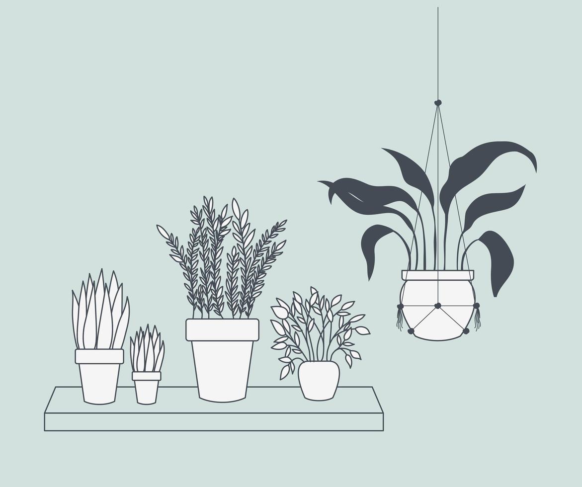 Plantas de interior en perchas de macramé y columpio. vector