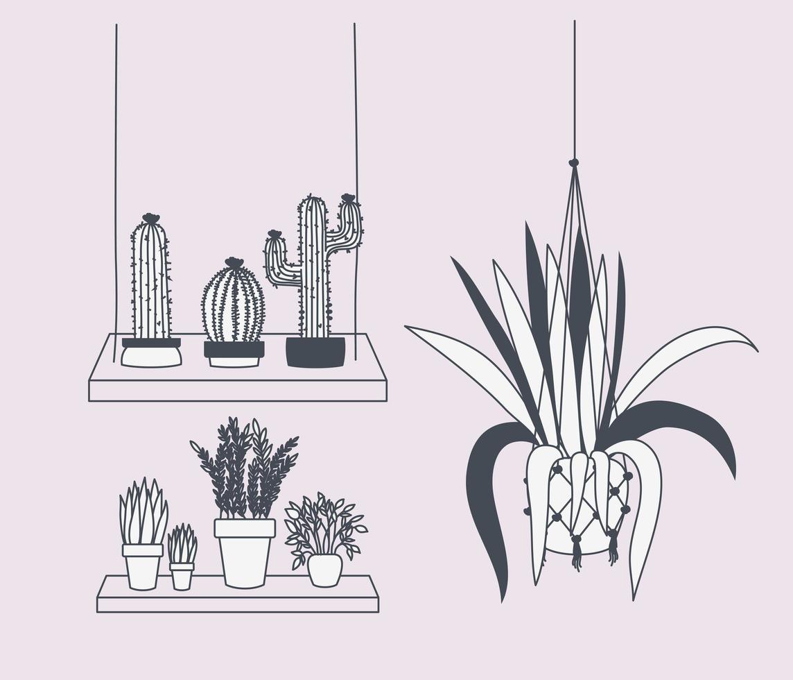 Plantas de interior en perchas de macramé y columpio. vector