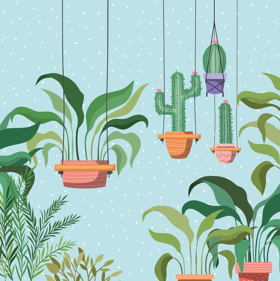 Plantas de interior en perchas de macramé escena de jardín vector