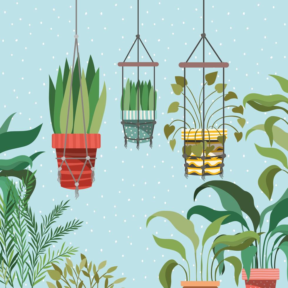 Plantas de interior en perchas de macramé escena de jardín vector