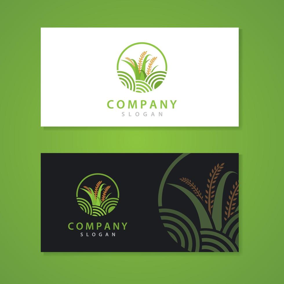 Paddy vector logo