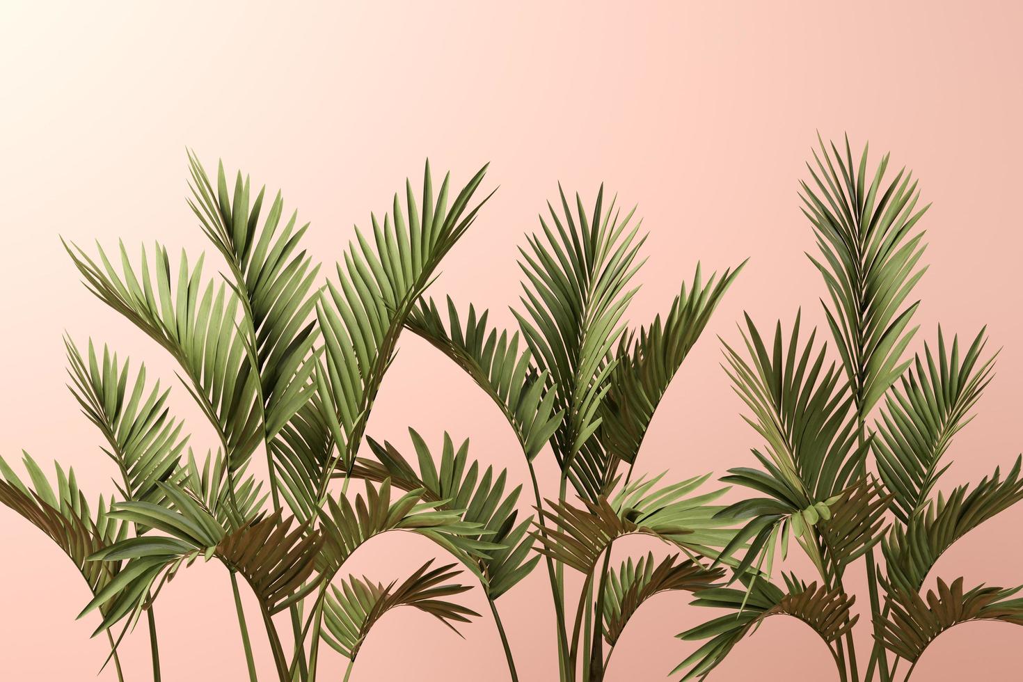 hojas de palmera sobre un fondo rosa en la ilustración 3d foto