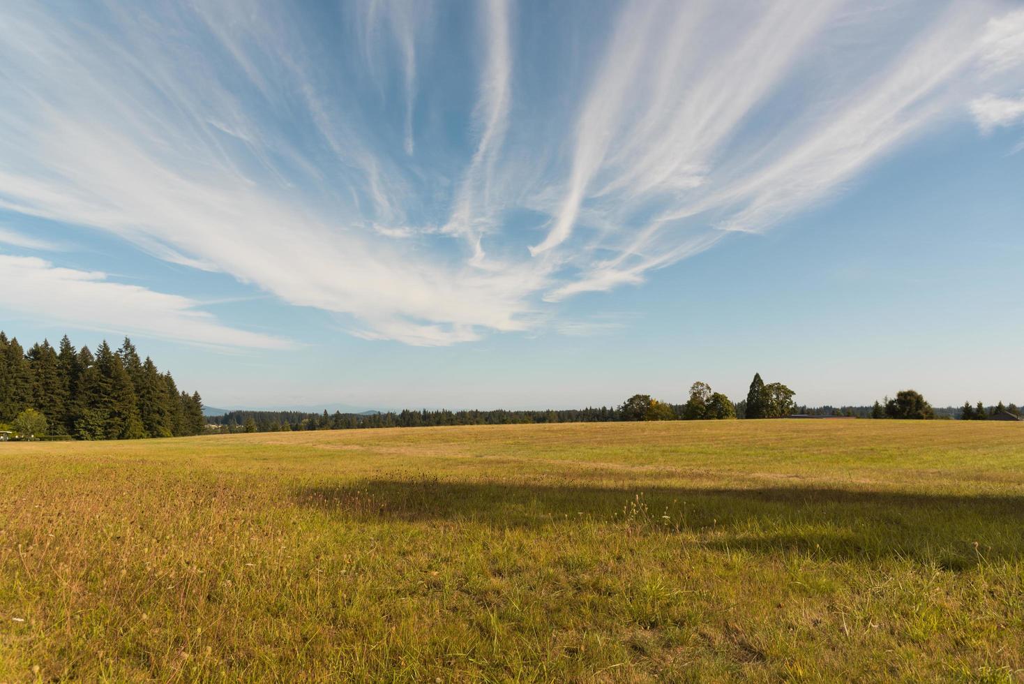 Large empty field under clouds photo