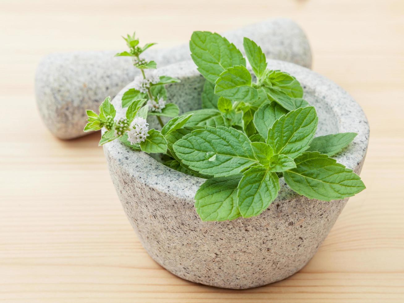 Fresh mint in a mortar photo