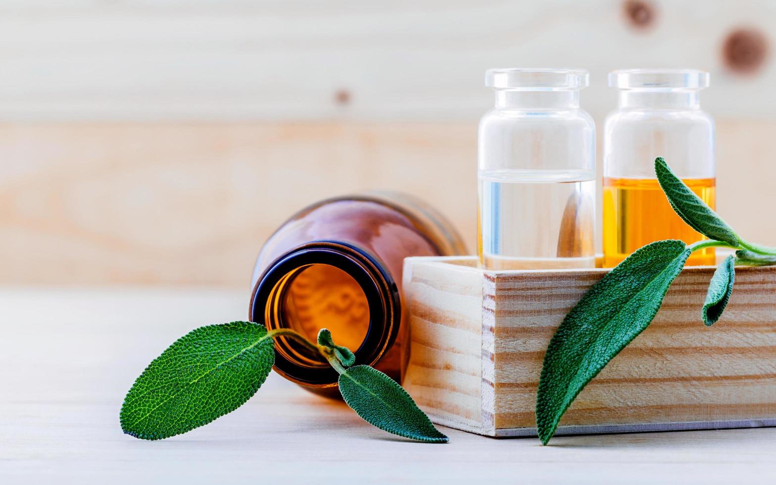 Sage essential oil concept photo