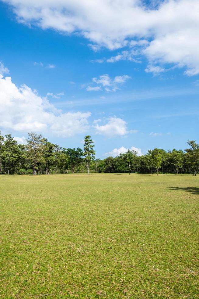 Park with green grass fields with a beautiful park scene background photo