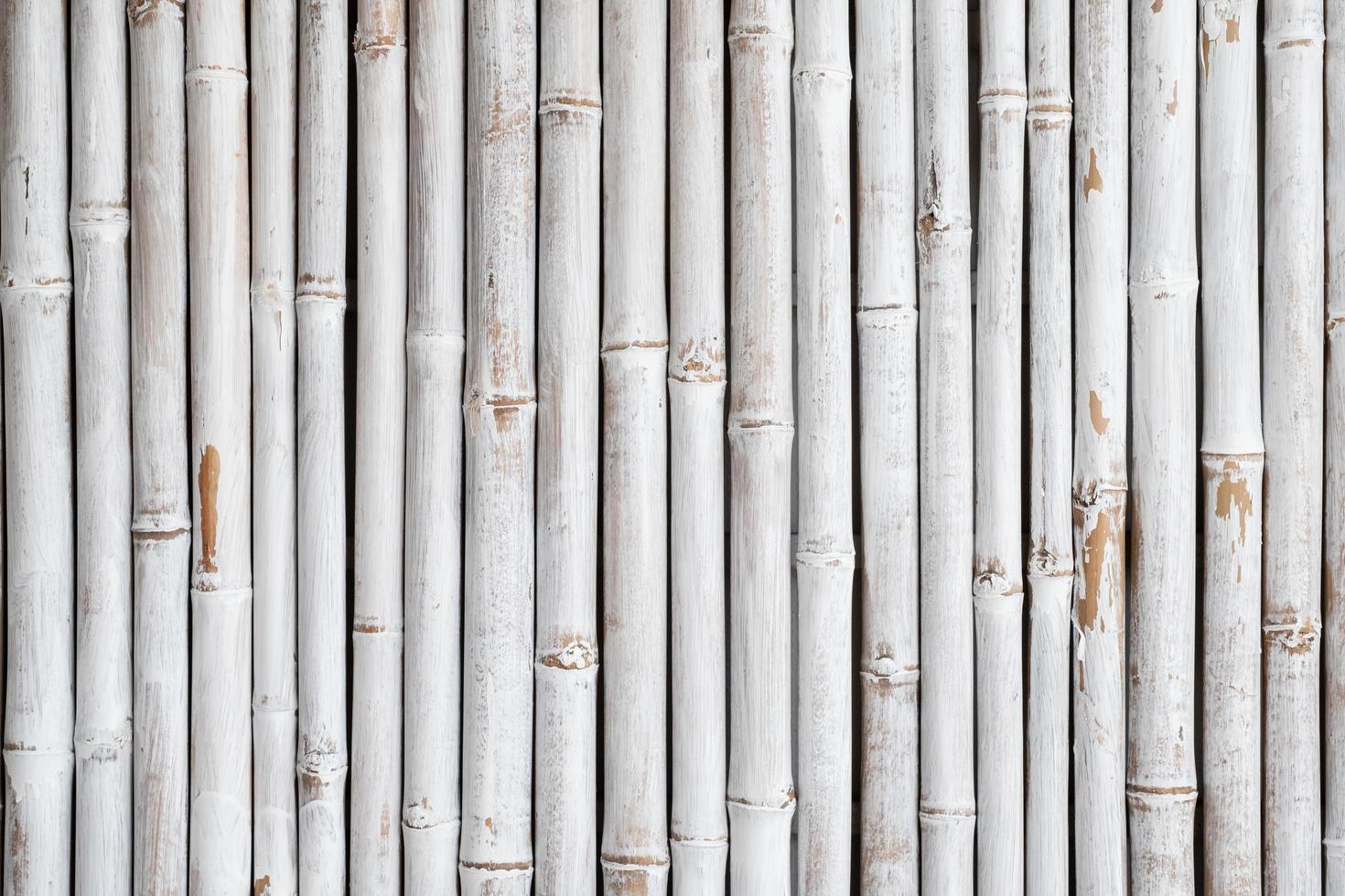 patrón de cerca de bambú blanco foto