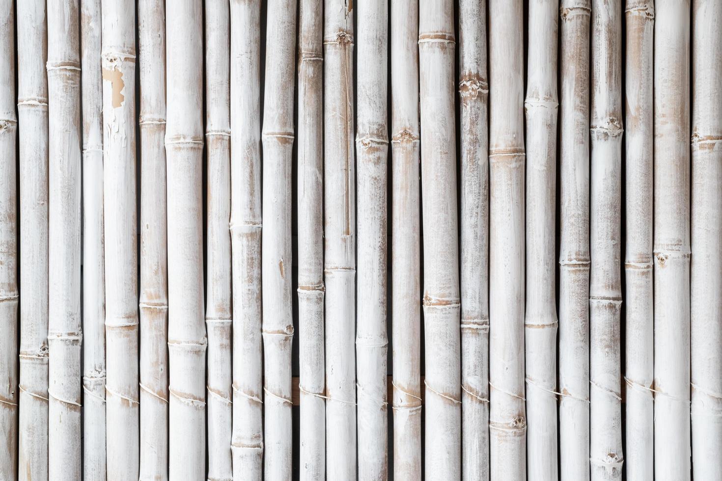 patrón de cerca de bambú blanco foto