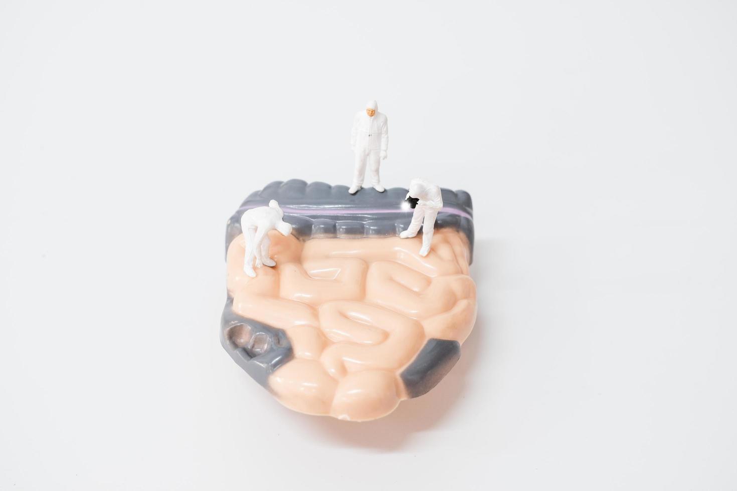 Miniature doctors researching intestinal problems, science and medical concept photo