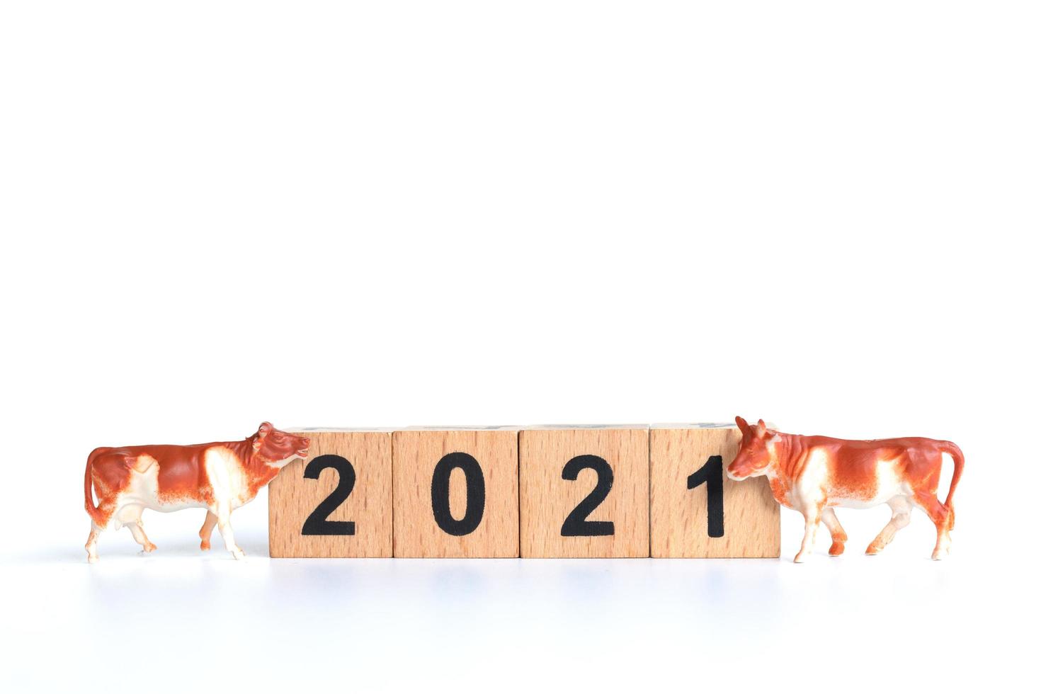 Tiny ox and wooden blocks with numbers 2021 isolated on a white background, a symbol of the year 2021 photo