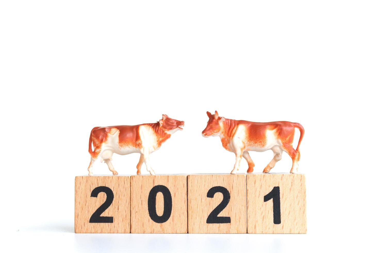 Pequeño buey y bloques de madera con números 2021 aislado sobre un fondo blanco, símbolo del año 2021 foto