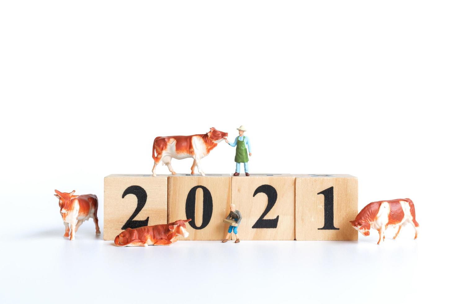 Pequeño buey y gente sobre bloques de madera con números 2021 aislado sobre un fondo blanco, símbolo del año 2021 foto