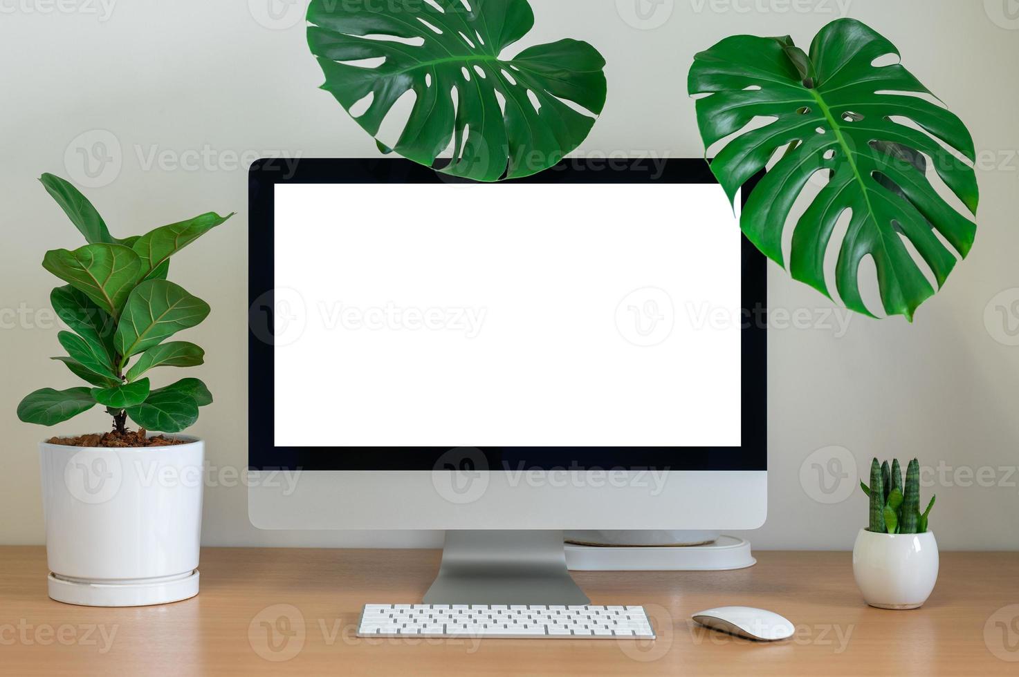 Desktop view with keyboard and plants photo